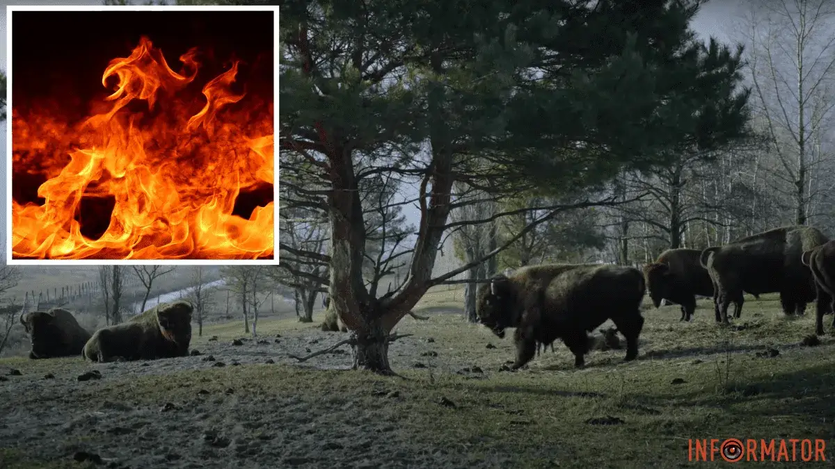 Опубликован тизер фильма, посвященного катастрофическому влиянию войны на природу