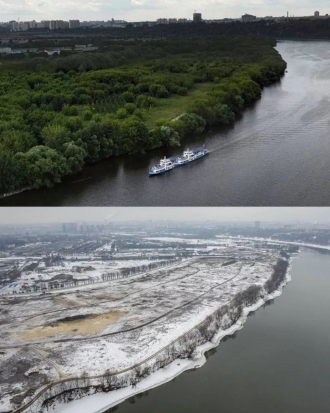 В Москве вырубают леса и заповедники для установки ПВО – СМИ