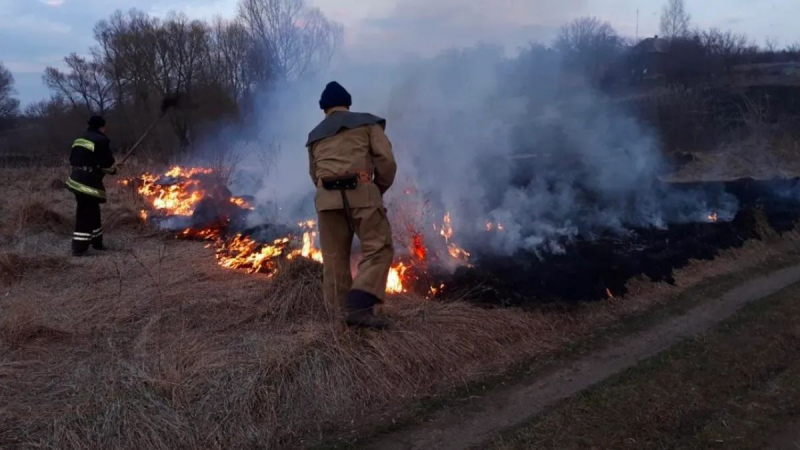 В Одесской области женщина упала в горящий мусор на собственном огороде и погибла