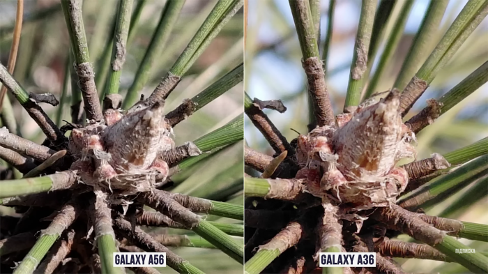 Обзор Samsung Galaxy A36 – крутой среднебюджетник от A-бренда