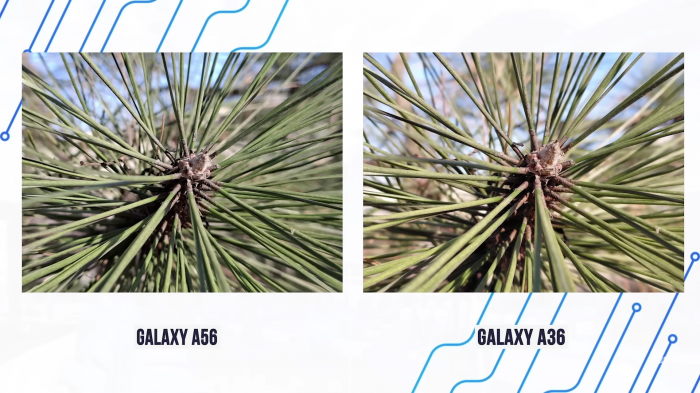 Обзор Samsung Galaxy A36 – крутой среднебюджетник от A-бренда